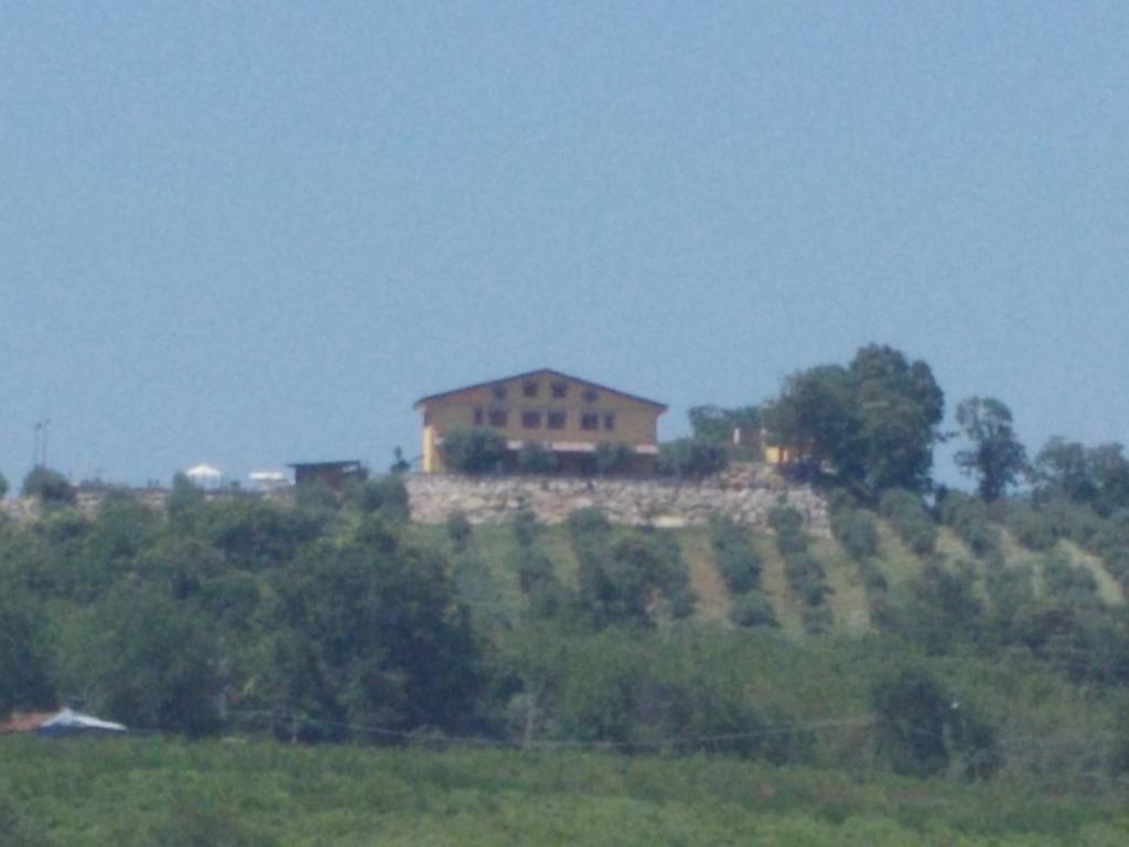 Uliveto Garden Bed and Breakfast Bagnara Calabra Εξωτερικό φωτογραφία